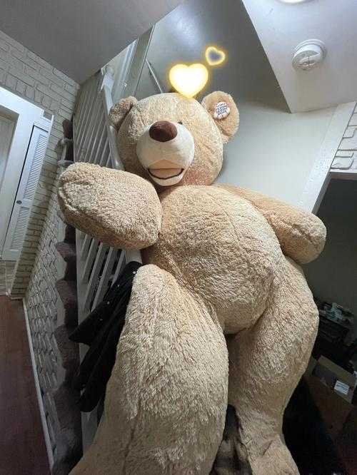 重庆市民偶遇巨型泰迪熊（巨型泰迪熊）